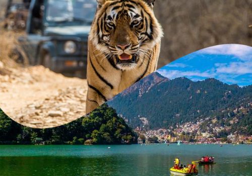 corbett-nainital