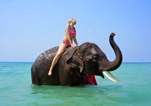 ITM Holidays
