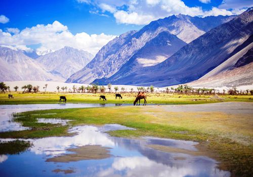 Ladakh-2
