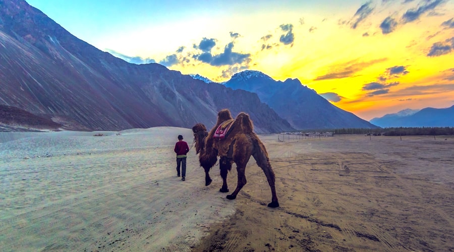 tempo traveller from delhi to ladakh